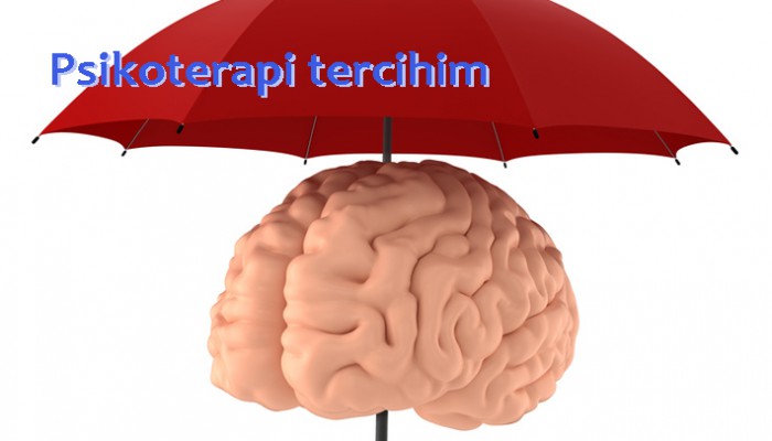 Psikoterapi tercihim